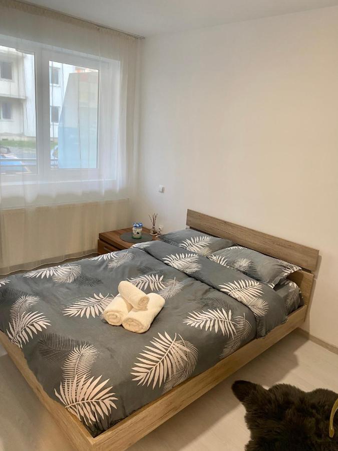 Apartament Irina Brasov Luaran gambar
